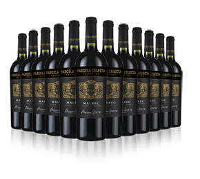 Parcela Selecta Malbec 2019