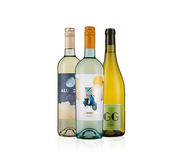 New Discoveries White New Discoveries White