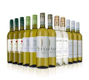 Italian Pinot Grigio Mix - 20 percent off