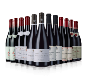 Burgundy 2017 Value Reds Mix