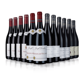 Beaujolais Showcase 