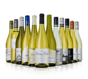 Sauvignon Showdown - Mixed Case Sauvignon Showdown - Mixed Case