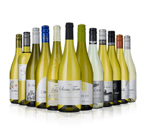 Sauvignon Showdown - Mixed Case