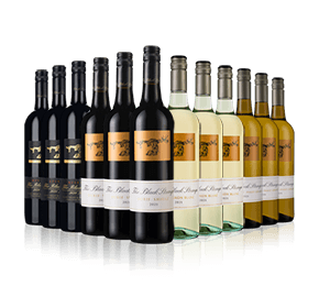 Black Stump Family Case Black Stump Family Case