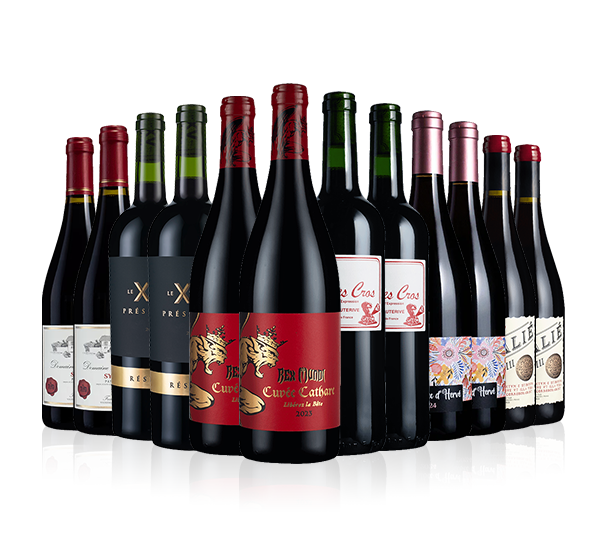 Southern French Reds