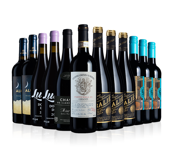 Red Wines of the Year Collection 2025