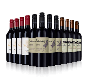 Best of Chile Reds
