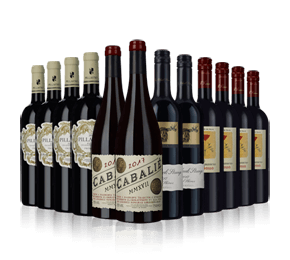 Festive Favourites Reds Case 