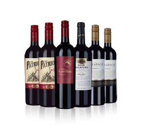 Chilean Merlot Six - 20 percent off