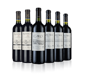 Bodegas Caro Six Bodegas Caro Six
