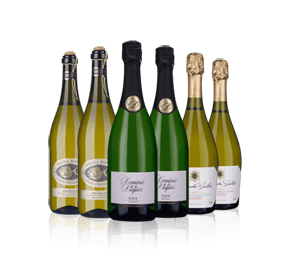 Six Sparkling Wines 