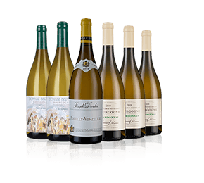 Connoisseur's White Burgundy Six Connoisseur's White Burgundy Six
