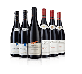 Classic Reds of Burgundy