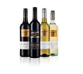 Black Stump Family Four Black Stump Family Four