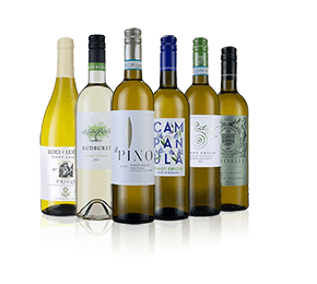 Pinot Grigio Sale Six Pinot Grigio Sale Six
