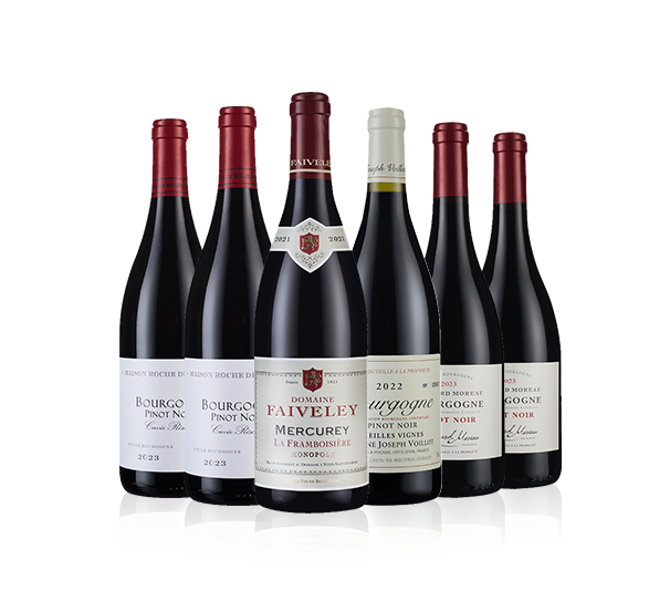 Red Burgundy Showcase