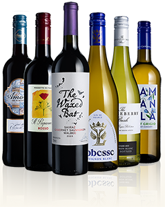 Celebration Mixed Wine Six Gift Celebration Mixed Wine Six Gift