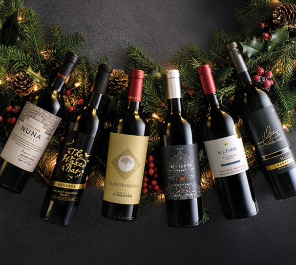 Luxury Reds of Argentina Six Luxury Reds of Argentina Six