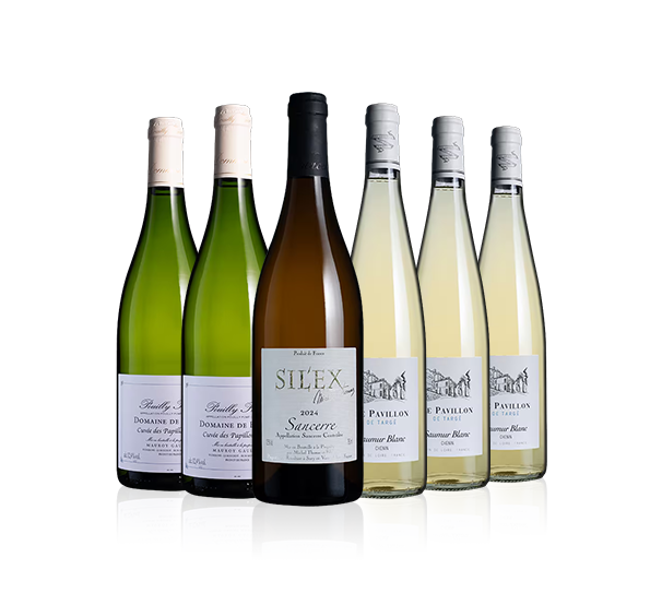 Fine Loire Whites Six