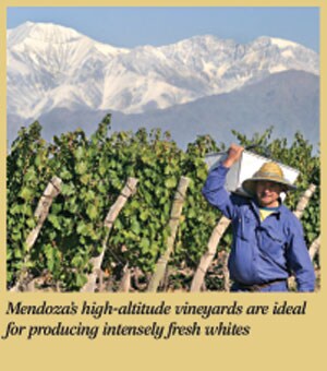 About the Producer