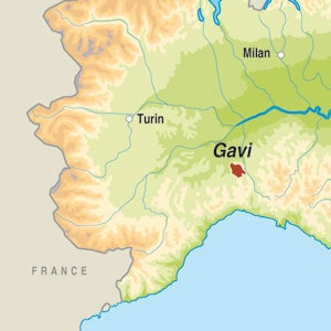 Map showing Gavi DOCG