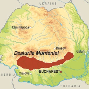 Map showing Dealurile Munteniei